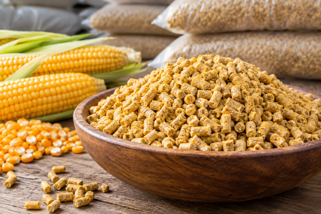 Processed corn cob granules and biomass pellets prepared for export packaging