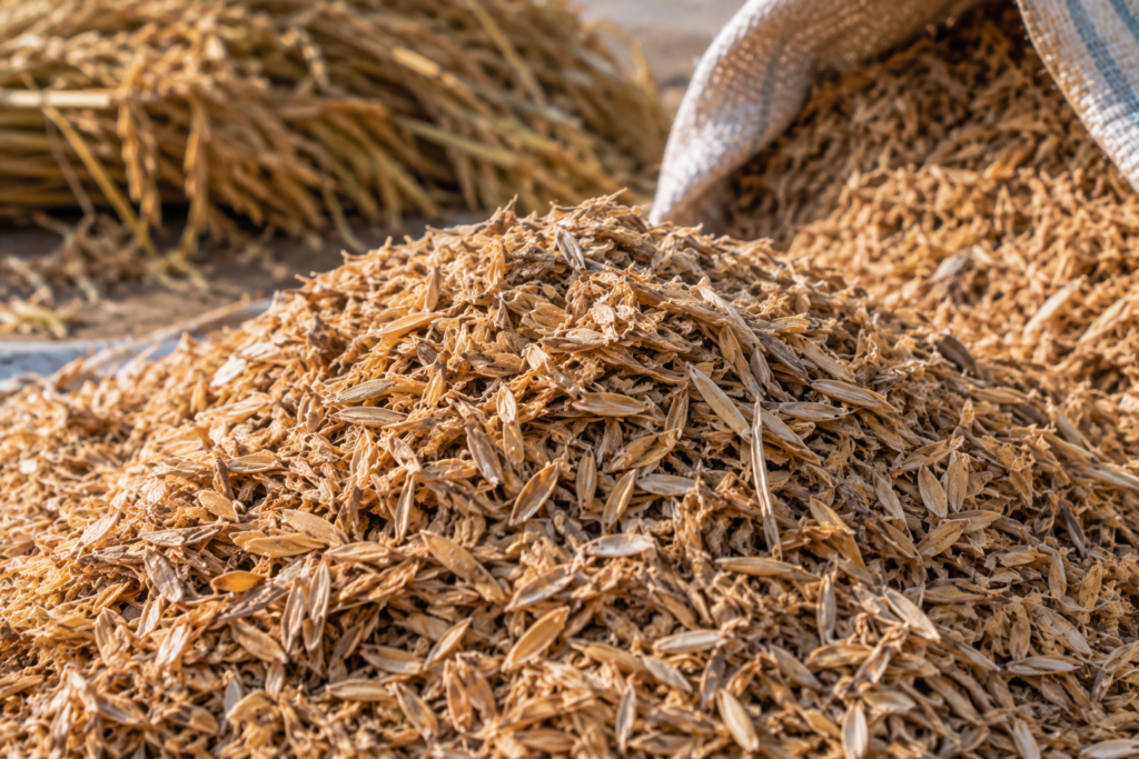 Rice husk biomass from Pakistan for industrial export buyers