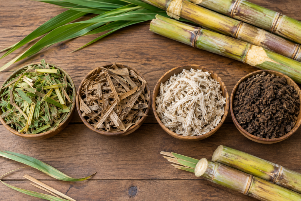Different types of sugarcane residues from Pakistan, including tops, trash, bagasse and press mud